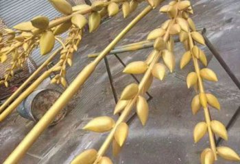 水景水稻雕塑廠家 風景區(qū)幾何雕塑廠家 廣場小品